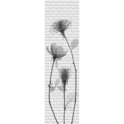 Панель ПВХ Бланш Розы (0,675м²) 8мм 2,7*0,25 - фото - 1
