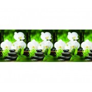 Кухонный фартук АБС Орхидея белая (600*3000*1,5мм) STELLA - фото - 1