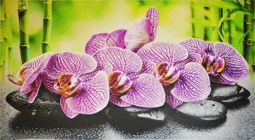 Фартук-панно ПВХ ГРЕЙС 602*1002 Орхидея Ванда - фото - 1