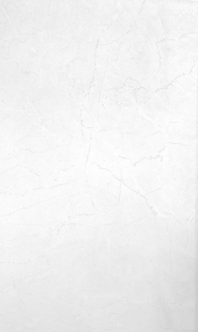 Керамическая плитка Gloss GL01 20х33 см, Серая - фото - 1