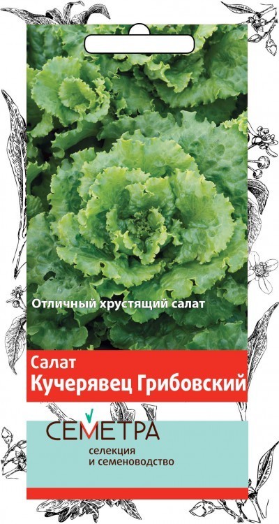 Семена салат Кучерявец грибовский 1г 