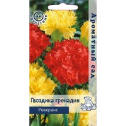 Семена цветов Гвоздика гренадин Реверанс 0,1 г "Ароматный сад" - фото - 1