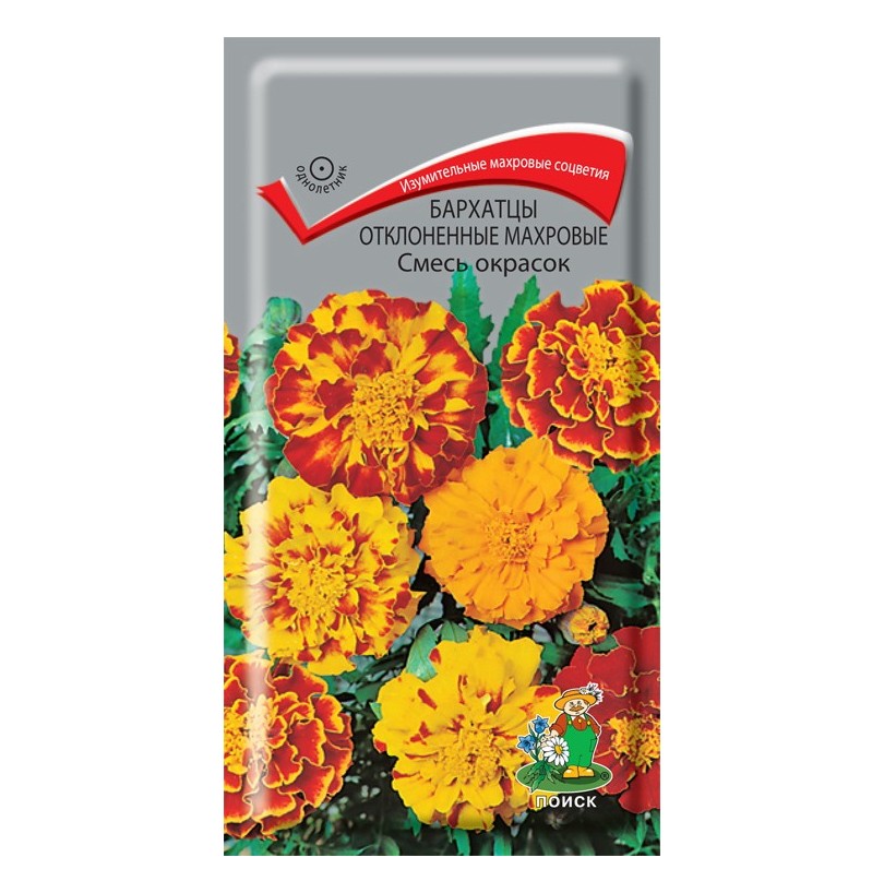 Семена цветов Бархатцы отклоненные махровые (тагетес) смесь окрасок, 0,3г "Поиск" - фото - 1