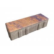 Плитка бетон пресс "Ригель" Color mix (240*80) 60мм, Техас (420)