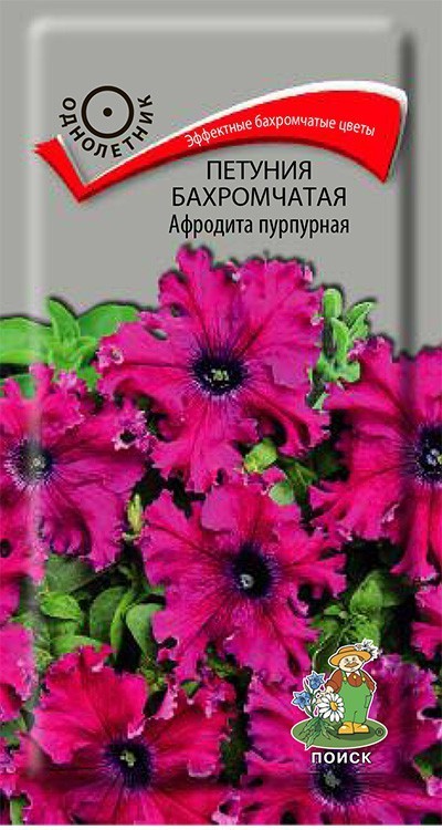 Семена цветов Петуния бахромчатая Афродита пурпурная, 10 шт - фото - 1