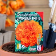 Семена цветов Бархатцы прямостоячие Оранжевый принц 0,1 г - фото - 1