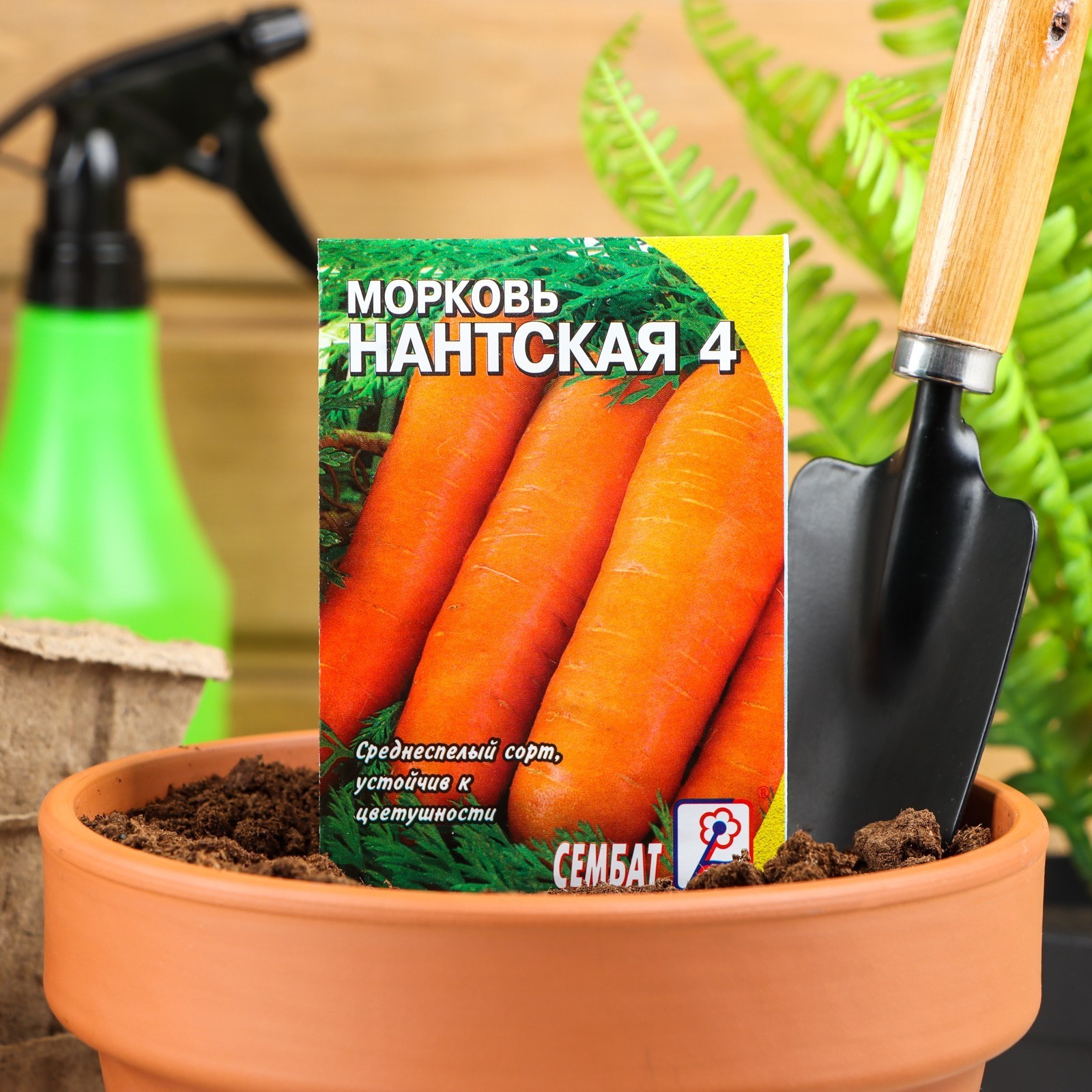 Семена морковь Нантская 4 2 г - фото - 1