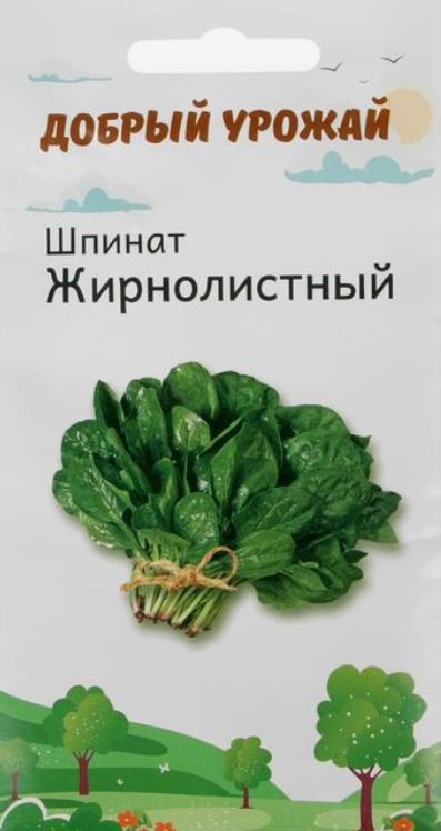 Семена Шпинат Жирнолистный 1 г - фото - 1