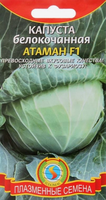 Семена Капуста белокочанная Атаман F1 0,2 г - фото - 1