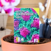 Семена цветов Капуста Декоративная смесь 40 шт - фото - 1