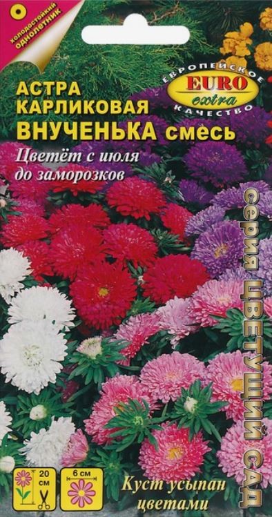 Семена цветов Астра Внученька, смесь 0,1 г - фото - 1