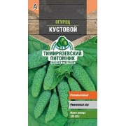 Семена Огурец Кустовой, раннеспелый 0,3 г - фото - 1