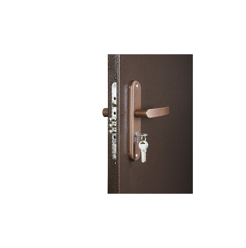 Дверь металл СПЕЦ PRO BMD 2060/960/L итальянский орех/антик медь - фото - 3