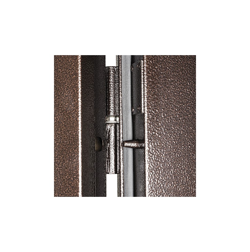 Дверь металл СПЕЦ PRO BMD 2060/960/L итальянский орех/антик медь - фото - 4