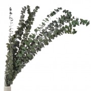 Цветок искусственный декоративный Ветвь 60 см, темно-зеленый Y6-10348 - фото - 1