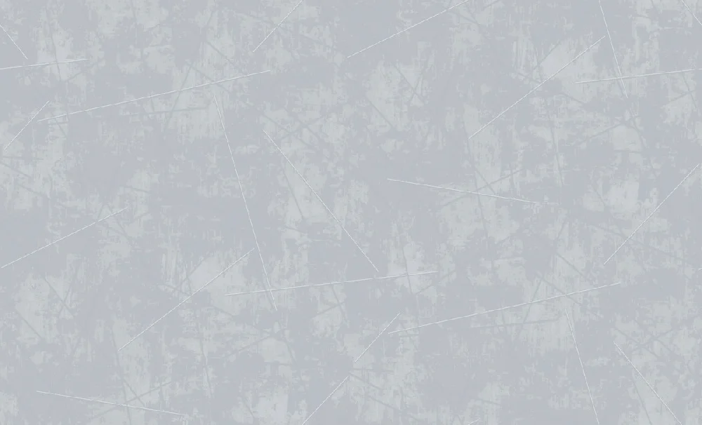 Обои ERISMANN Spectral виниловые на флизелиновой основе 1,06*10,05 м, серый 60623-10 (6)