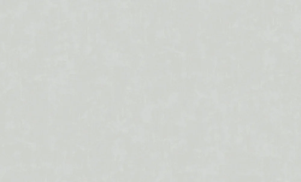 Обои ERISMANN Spectral виниловые на флизелиновой основе 1,06*10,05 м, серый 60625-02 (6)