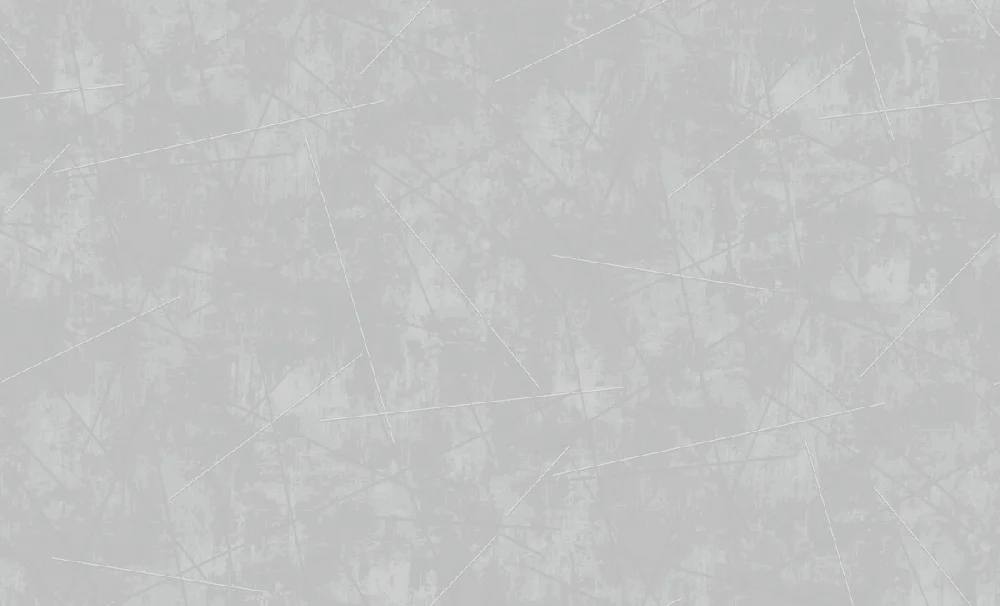 Обои ERISMANN Spectral виниловые на флизелиновой основе 1,06*10,05 м, серый 60623-02 (6)