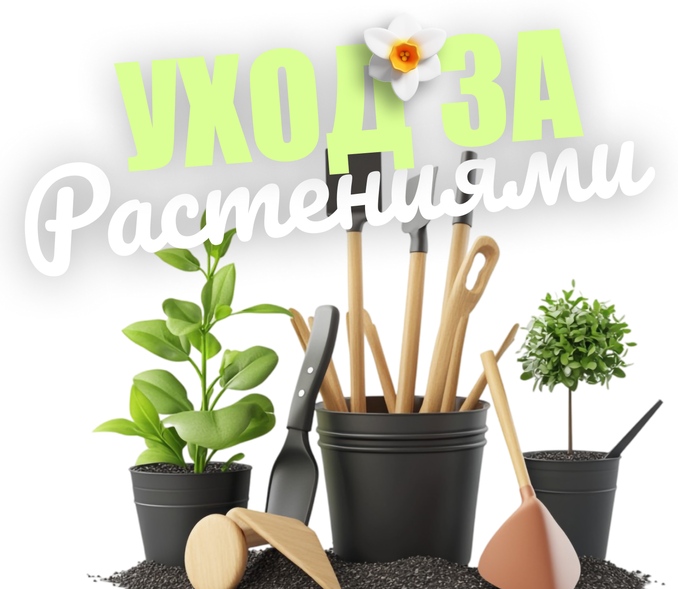 уход за растениями