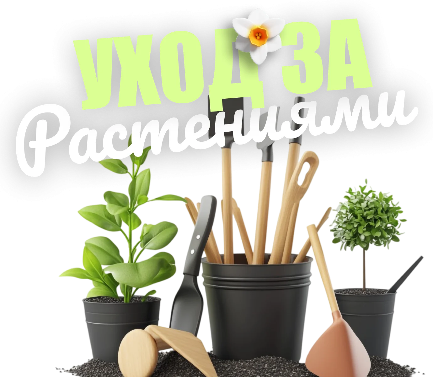 уход за растениями