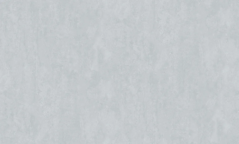 Обои ERISMANN Santiago виниловые на флизелиновой основе 1,06*10,05 м, серый фон 60394-04 (6)