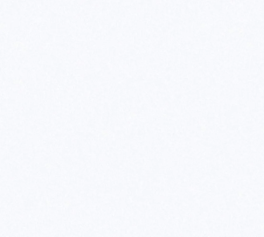 Обои WallSecret Comfort Lancome виниловые на флизелиновой основе 1,06*10,05 м, серый фон 8696-10 (6)