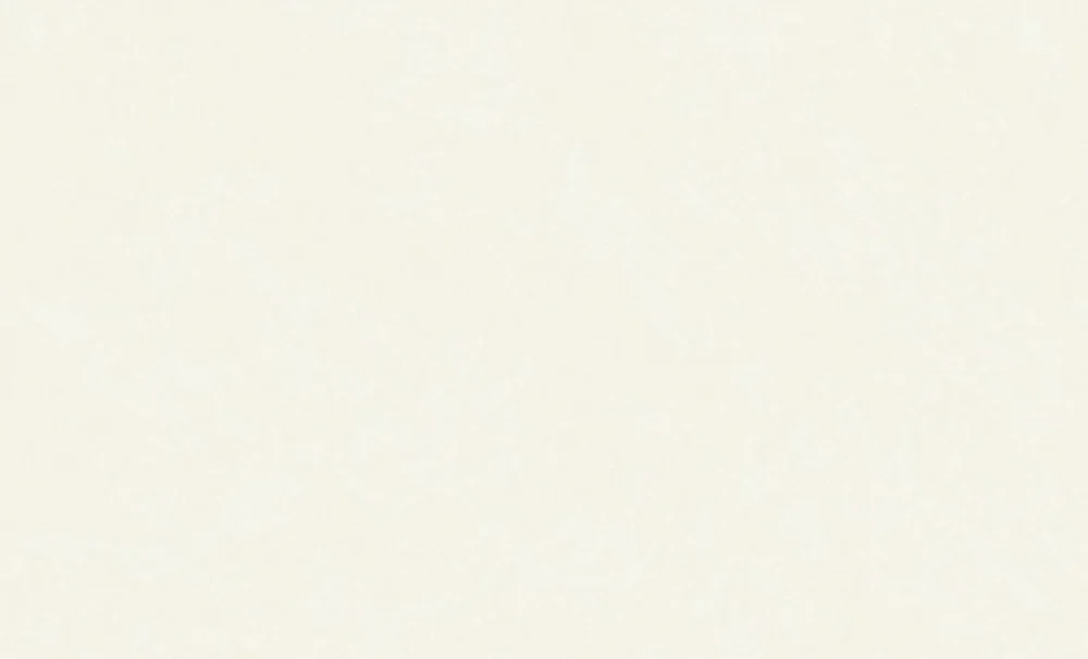 Обои ERISMANN Sorbonne виниловые на флизелиновой основе 1,06*10,05 м, бежевый фон 60541-02 (6)